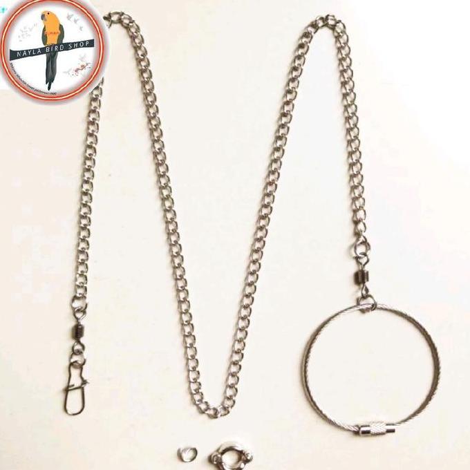 RANTAI KAKI BURUNG ANTI KARAT RANTAI BURUNG FALK PARKIT LOVEBIRD DLL RING + BORGOL
