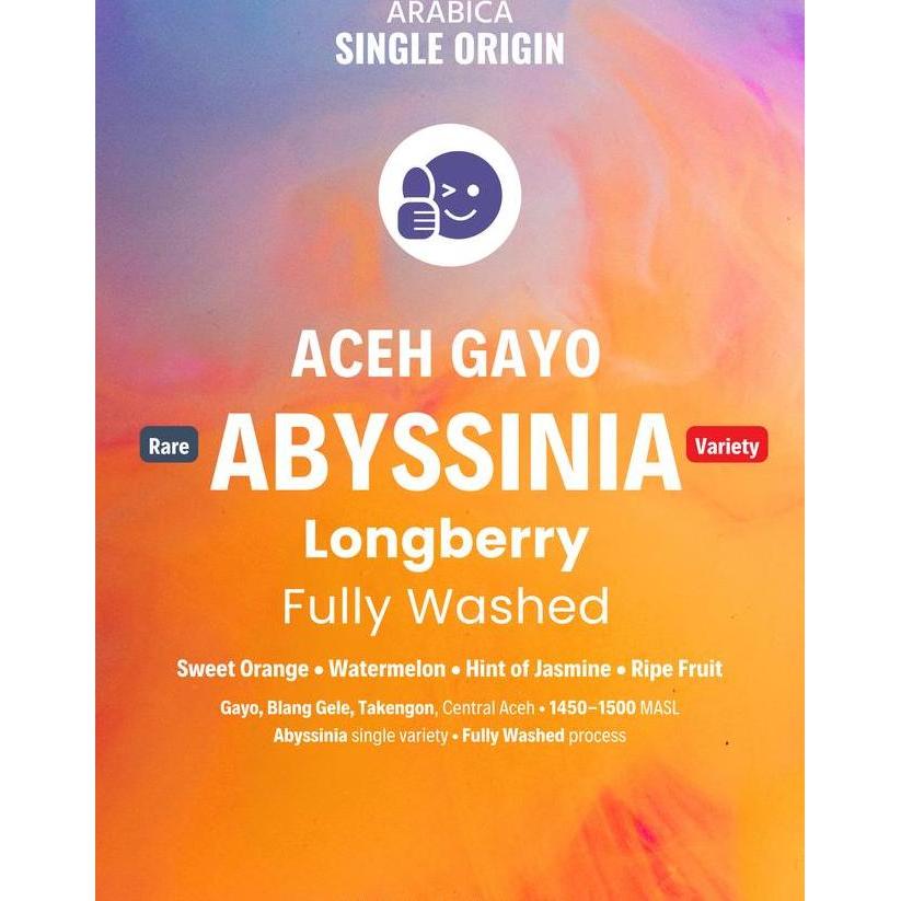 Aceh Gayo Abyssinia Longberry Fullwash Kopi Arabika Single Gin Arabica Fully Washed Coffee Beans Ibu