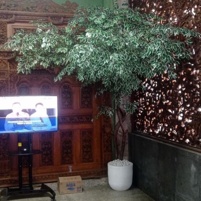 Terlaris Pohon Besar 2,5M/Beringin/Sinfu/Maple/Pohon Plastik/Bunga Hias/Plastik