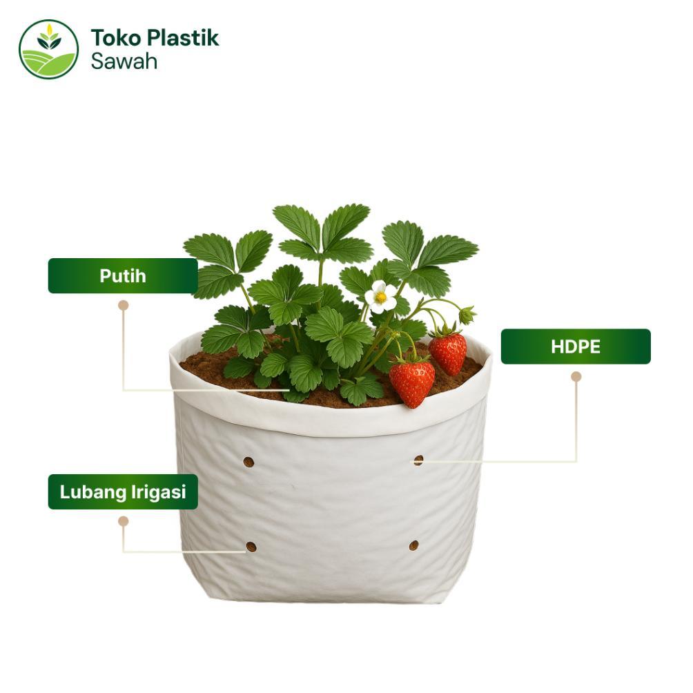 Bisa Cod Polybag Tanaman Putih Ukuran 40X40 & 35X35 - Isi 50 Lembar ><