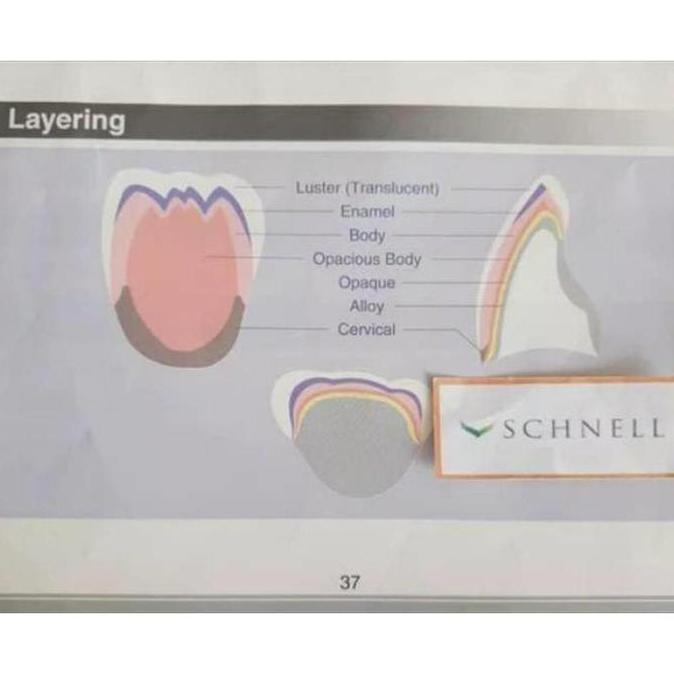 Grosir Bahan Porcelain Gigi Palsu/ Pasta Opaque Noritake 6Gr