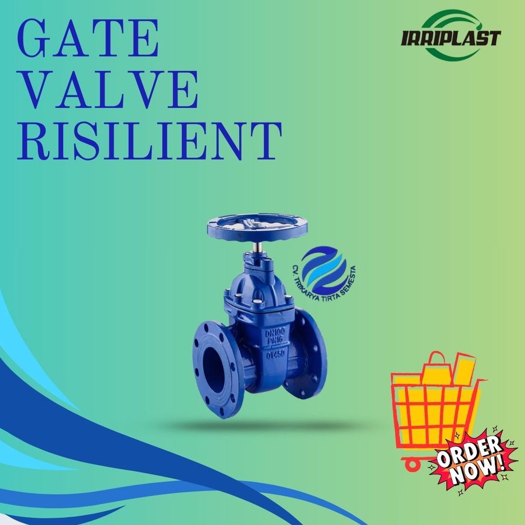 Gate Valve Resilient Ukuran 6"