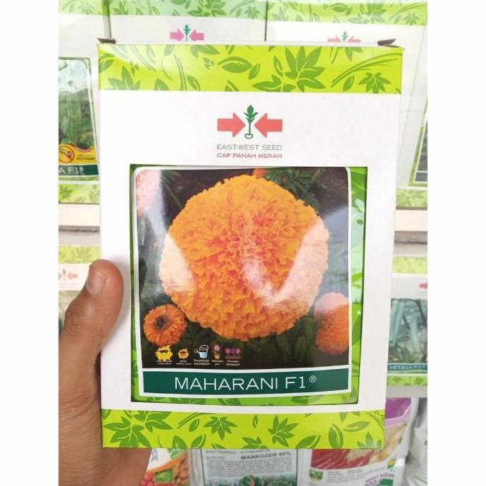 Benih Marigold MAHARANI F1 (100 Butir) - Bibit Bunga Cap Panah Merah