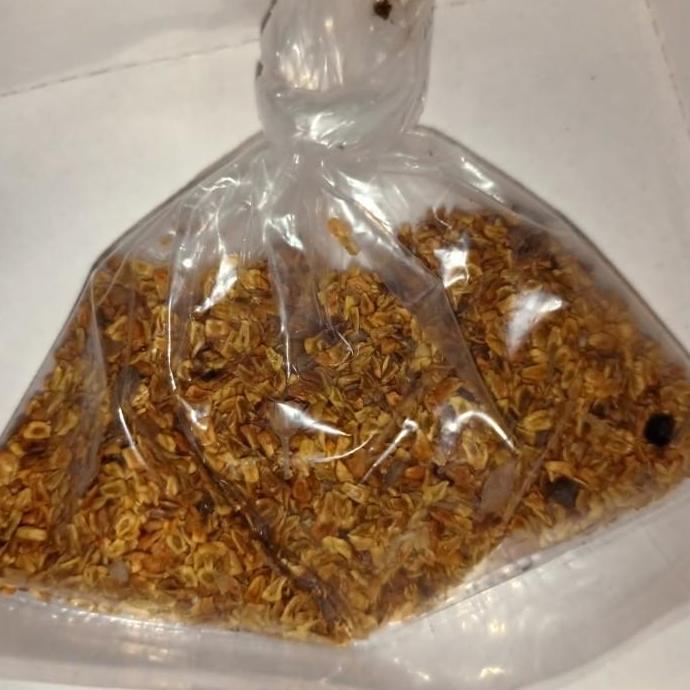 benih biji santigi MAWAR SUPER