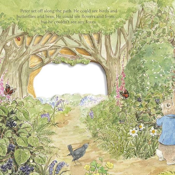 DJANTIIEE - KIDNEDU BUKU PETER RABBIT COLLECTION / BUKU CERITA PETER RABBIT UNTUK ANAK / BUKU