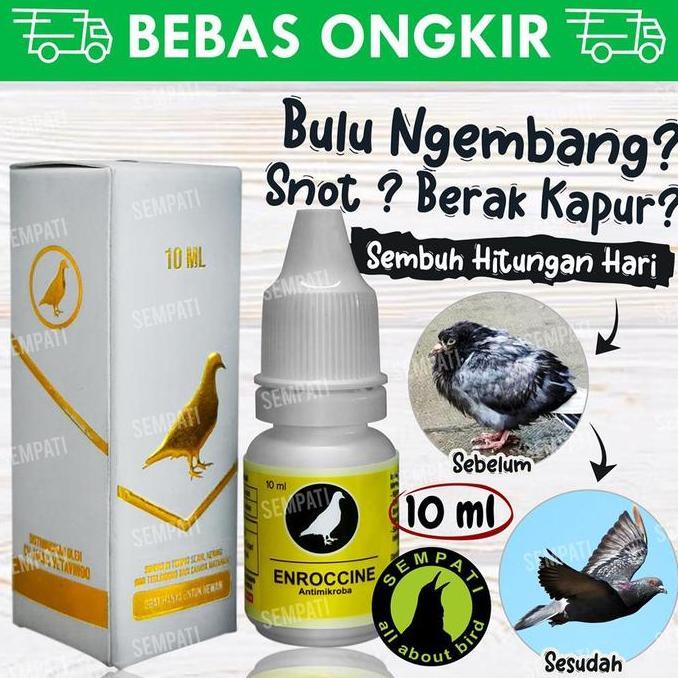 Kicaudor- Enroccine Vitarest Obat Burung Merpati Snot Ngorok Antimikroba Enrocc