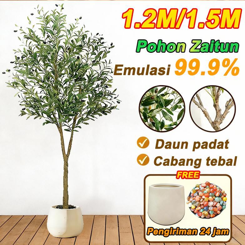 TANAMAN HIAS Pohon Zaitun Artificial 1.2/1.5M bunga artificial POHON PALSU OLIVE POHON ARTIFICIAL PO