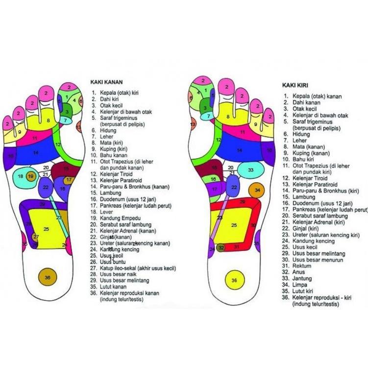 Alat Pijat Refleksi Kayu Kaki Tiga 3 In 1 Kerokan Akupuntur Hanya Di Shopee