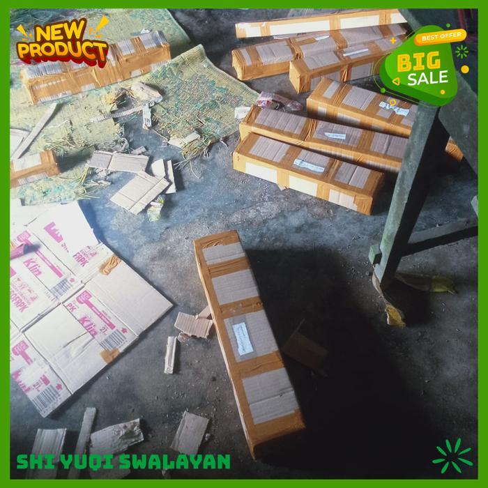 BUNGA CUCAK ROWO BUNGA MERAH BIJI BENIH TANAMAN ROWO BEST QUALITY 