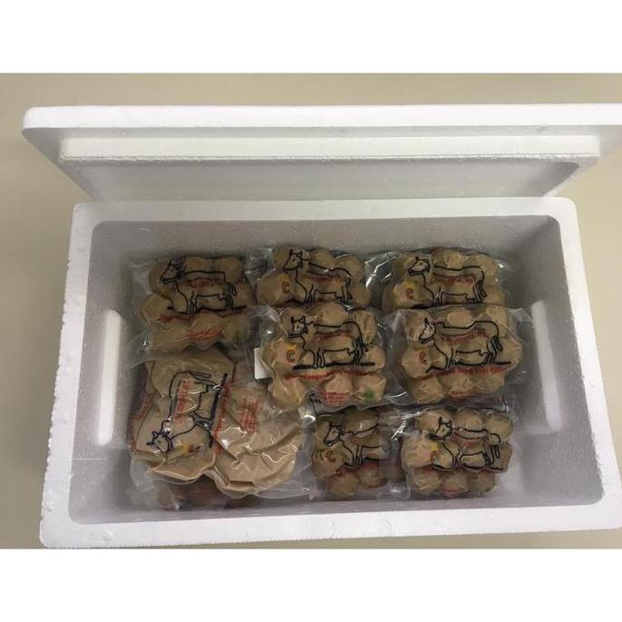 Styrofoam (kapasitas hingga 9kg) - Baso Sapi Cihampelas