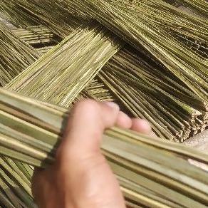 Sapu Lidi Aren 100% Original | Sodo Lanang 150-160 Cm | Penangkal Setan Belek