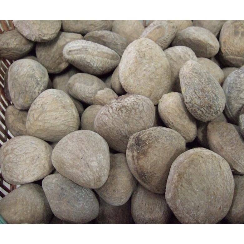 Kluwek/1Kg/Kluwek Super/Kluwek Rawon/Kepayang