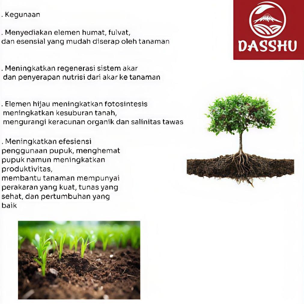 Bisa Cod 1Kg Dasshu Z1000 Pupuk Import Japan - Beli 3 Gratis 1 ><