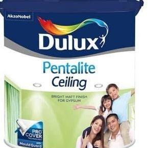 DULUX PENTALITE CEILING