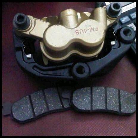 TERLARIS KEPALA BABI JUPITER Z 