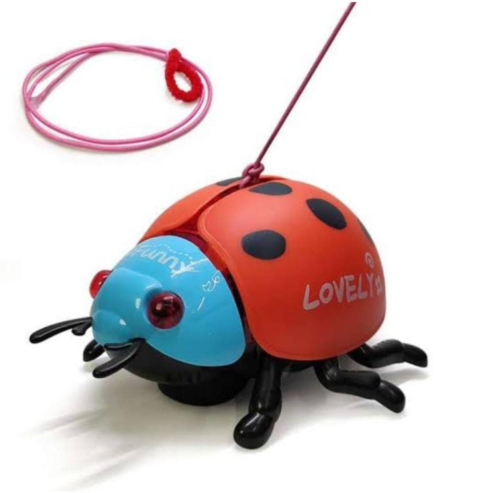 Mainan Anak Kumbang Tonggeret Lalat Musik Lampu