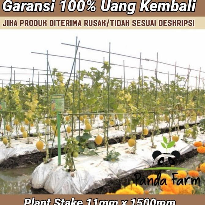 Ajir / Penyangga Tanaman Takiron Plant Stake 11 x 1500 mm