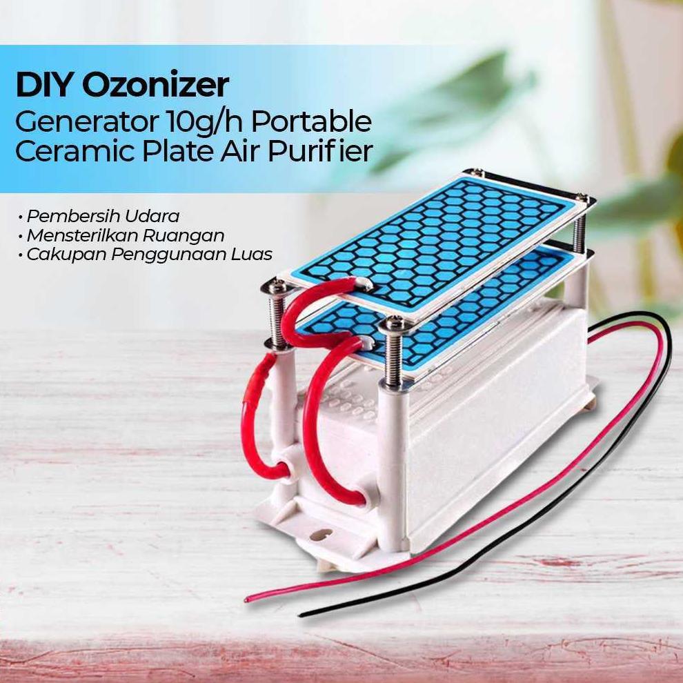 Ozonizer DIY Ozone Generator Ceramic Plate Air Purifier