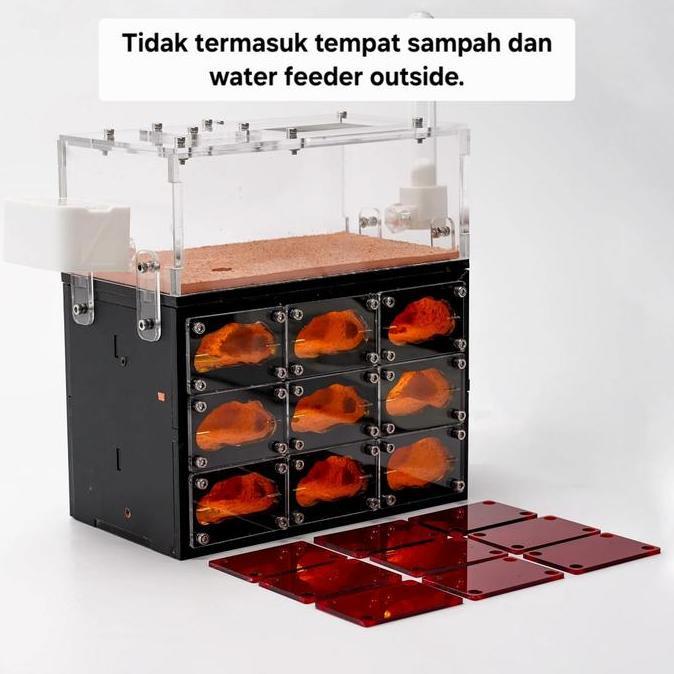 Sale Formicarium Ecological Premium 9 Ruang, Formicarium Akrilik, Formicarium Kaca, Ants Nest, Ant, 