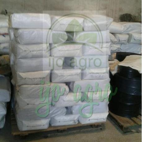 Abcd- Polybag Kecil 10X15 Kiloan