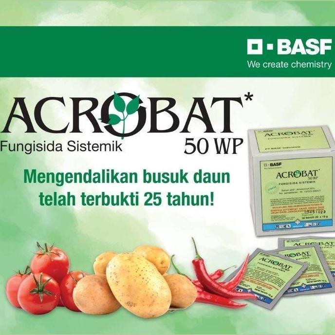 Acrobat 50 WP (40gr) - Fungisida Sistemik Untuk Layu Fusarium Jamur