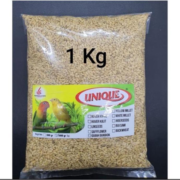 Gabah Bangkok 1 Kg Gabah Lampung
