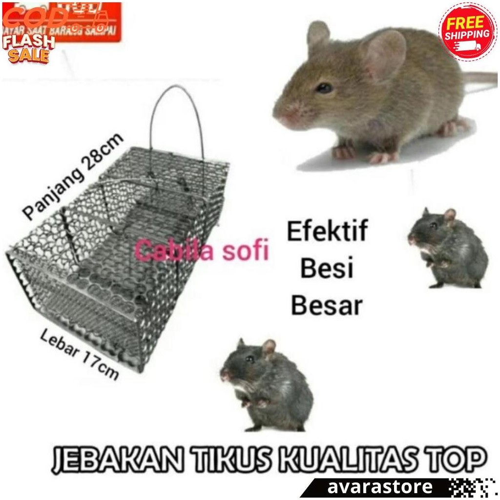 [Termurah] Perangkap Tikus Besi / Jebakan Tikus / Perangkap Musang Terlaris