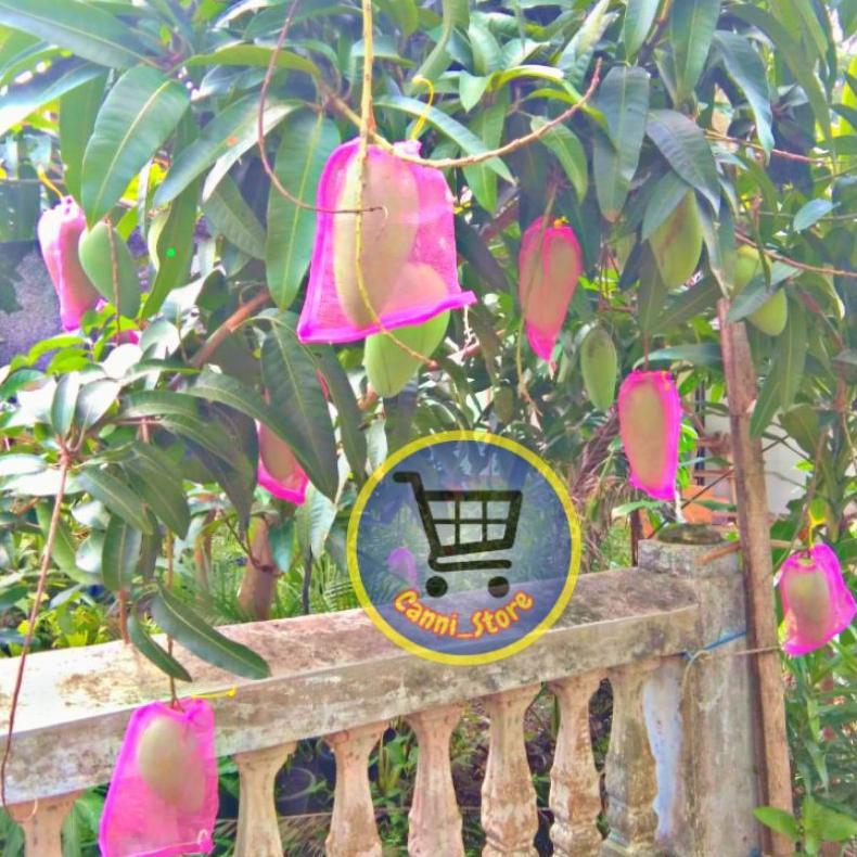 Promo Cod Brongsong Anggur/Mangga/Jambu ...