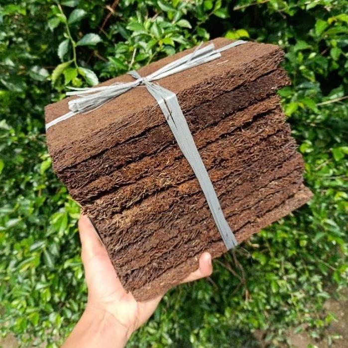 Promo Cod Papan Pakis Besar 10Pcs Pakis Lempeng / Akar Pakis / Media Tanaman Anggrek / Pakis Kotak .