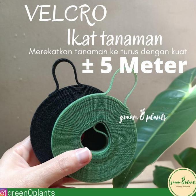 Velcro Ikat Tanaman