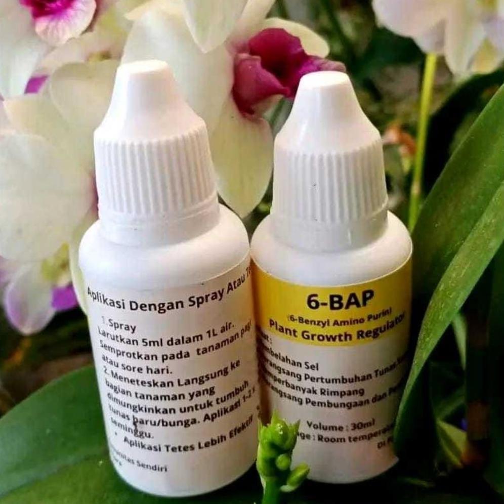 Promo Cod Super Murah Hormon Anggrek 6 Bap Kuning 30 Ml (Cocok Untuk Penumbuhtunas &Pembungaan Anggr