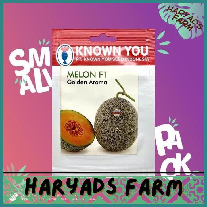 HF (1 PACK) BENIH MELON GOLDEN AROMA HIBRIDA F1 ORANYE SEEDS - KYS - HARYADSFARM