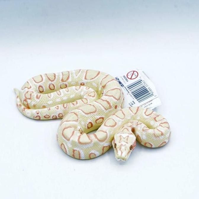 Safari Ltd Figure Albino Ball Python Ular Piton Snake Animal Figure Binatang Mainan Pajangan Edukasi