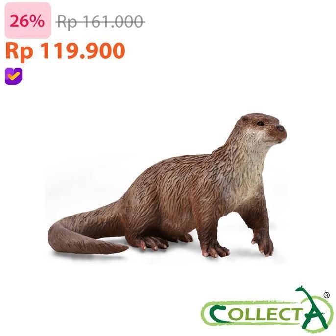 CollectA Common Otter - Animal Figure Original Koleksi Mainan Pajangan Hewan High Quality 88941 YAN