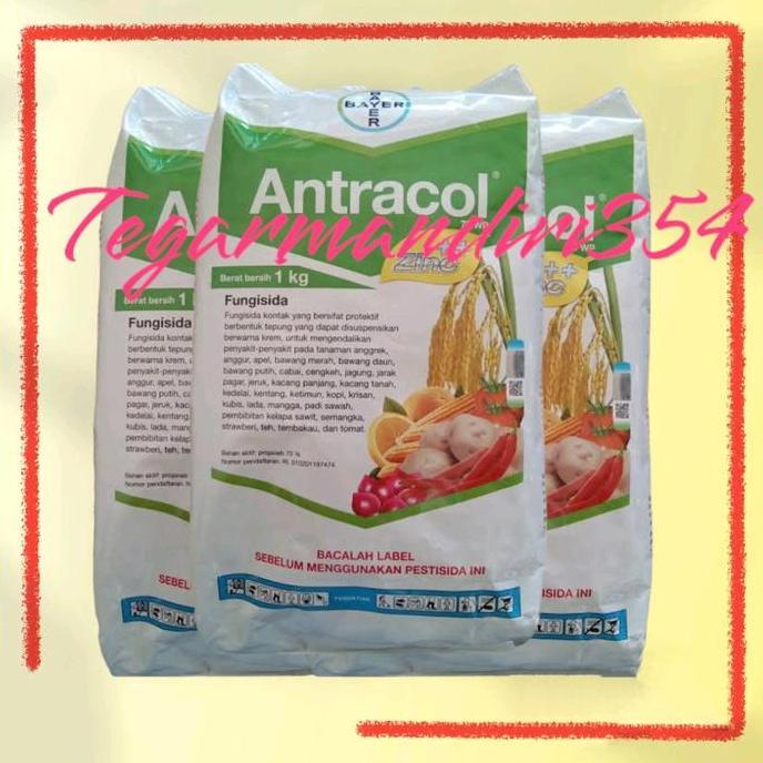 Fungisida antracol 1kg original