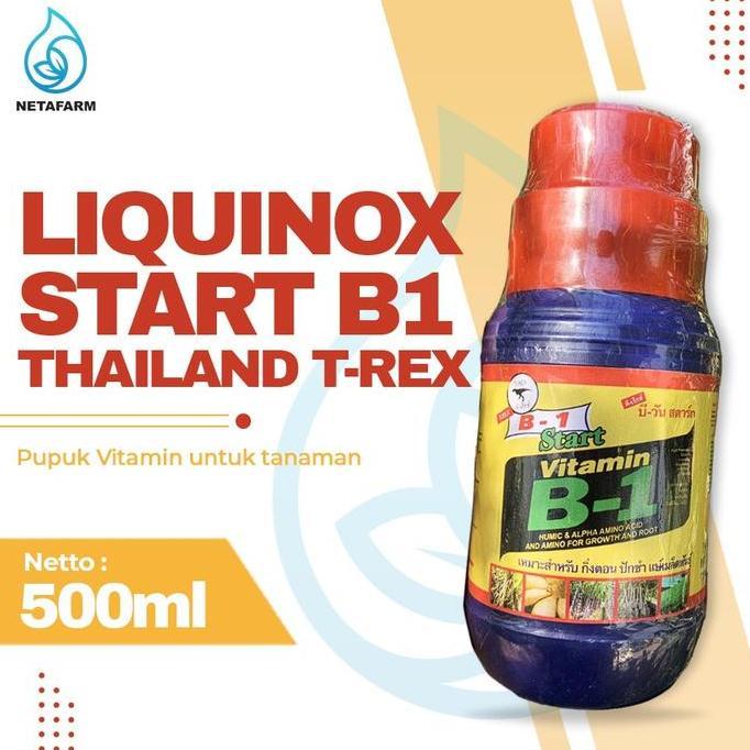 Liquinox Thailand T-rex Start B1 Original 500ml
