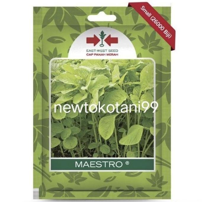 ( 26000Butir ) Benih Bayam Maestro 26000 Butir Panah Merah Bayam Hijau Bayam Potong Tanaman