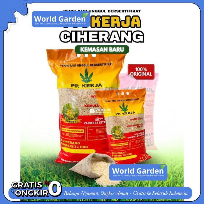 BENIH PADI UNGGUL BERKUALITAS BERSERTIFIKAT ISI KEMASAN 5KG DARI PP.KERJA - VARIETAS CIHERANG, INPAR
