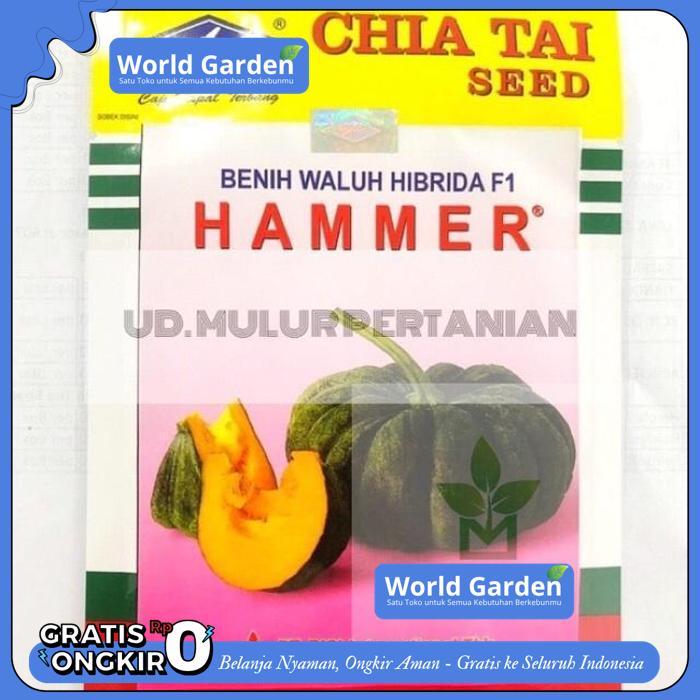 BENIH WALUH HIBRIDA HAMMER  F1 BEST PRODUK