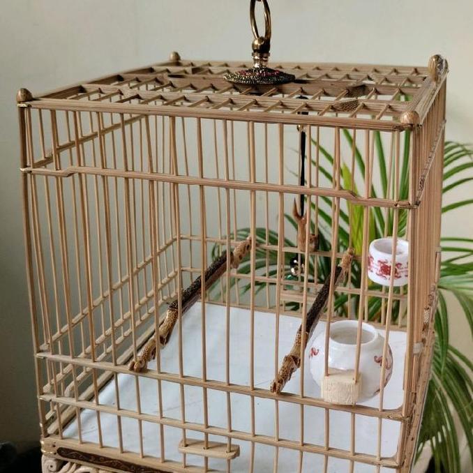 sangkar cungkok oval cm20x20 udah set tinggal pake udah vernis