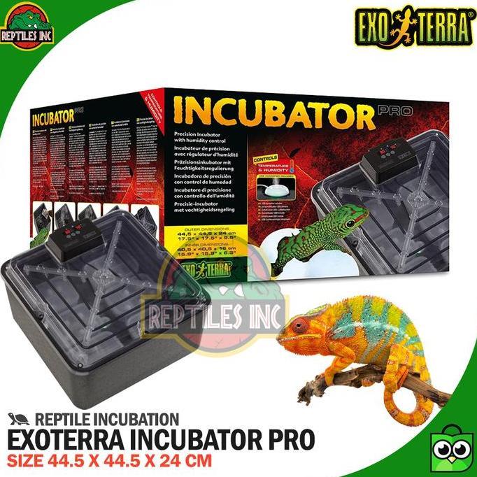 TERBARU - Exoterra Incubator Pro Inkubator Telur Reptil Gecko Kura Iguana Ular
