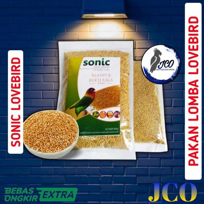 TERBARU PAKAN LOMBA LOVEBIRD SONIC LOVEBIRD