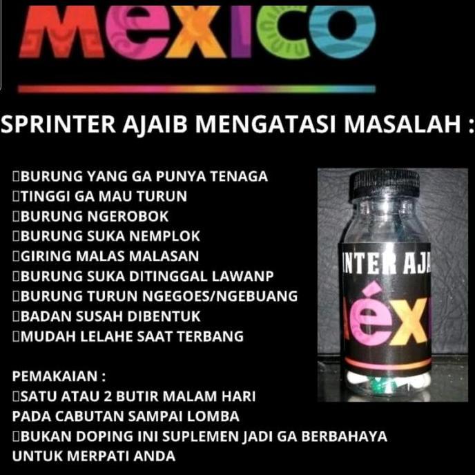 PROMO DISKON - GP GERMANY HORMON BREEDING SPRINTER DOPING TENAGA TETES AJAIB OBAT BURUNG MERPATI