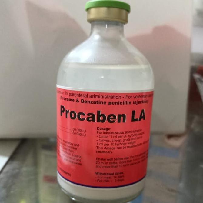 Antibiotik Pernafasan dan Pencernaan Hewan (PENSTREP 400 100ml) [terbaik]