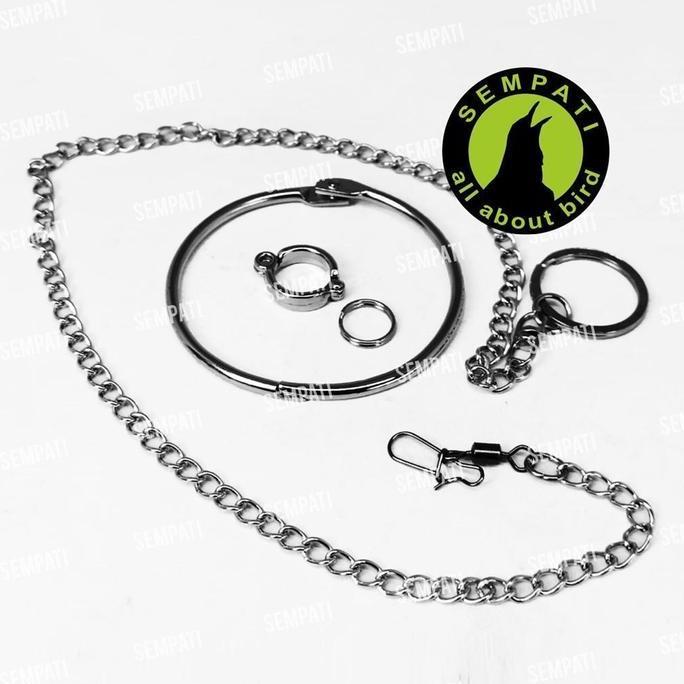 SEMPATI Rantai Free Flying 12 Mm Borgol Ring Import Rantai Umbaran Latih Kaki Burung Kakatua Cockato