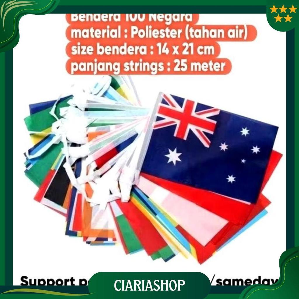 25 Meter Bendera 100 Negara/100Pcs Country Flag/Bendera Negara Dunia Renceng/Dekorasi Untuk Cafe Hot