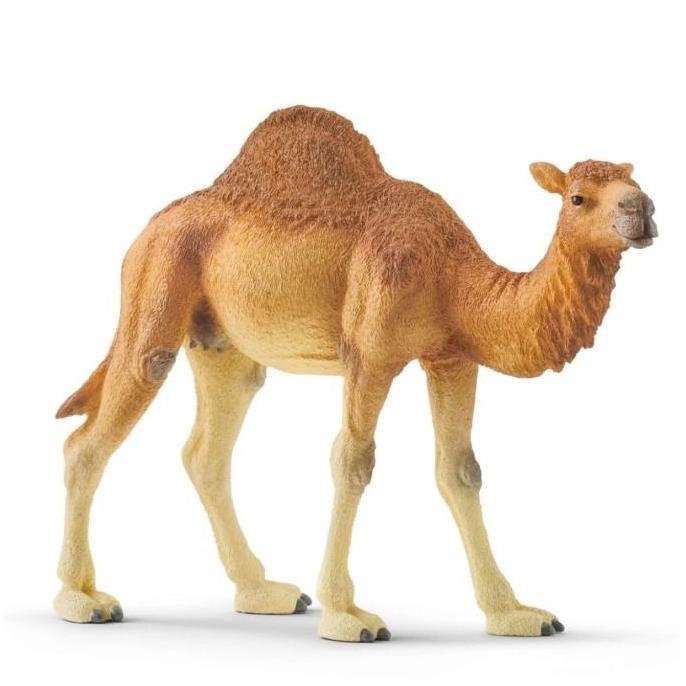 Schleich Dromedary 14832 Unta Arab Onta Satu Punuk One Hump Camel Camelus Dromedarius Mainan Anak An