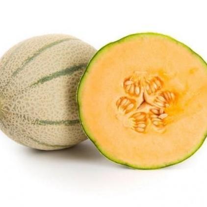 Benih Melon Rangipo RZ 1000 Butir Kemasan Asli Rijk Zwaan