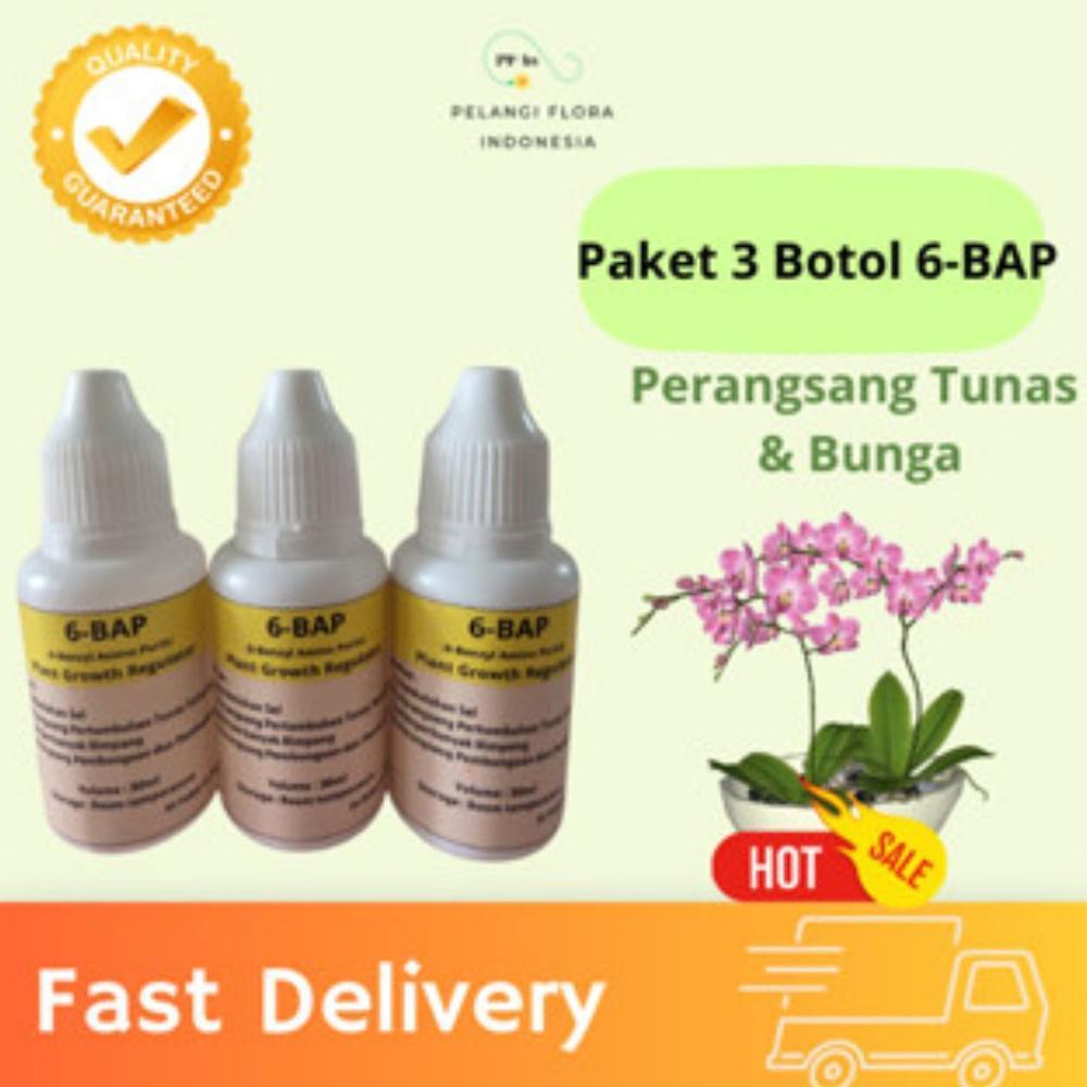 Bisa Cod Ya Kak 3 Botol. Hormon Pembungaan Anggrek 6-Bap | 6 Untuk Membungakan Dan Menumbuhkan Tunas