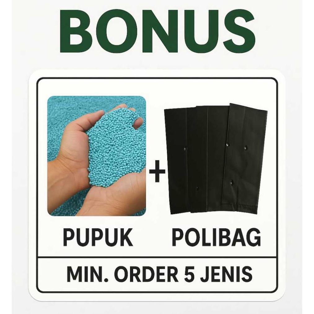 Bisa Cod Ya Kak Benih Tanaman Sayuran Seribuan I Benih Super Unggul I Benih Sayuran Lengkap I Bibit 